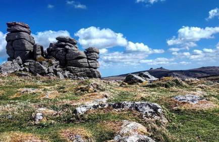 Haytor Court, Haytor, Dartmoor - The Moor on Your Doorstep - Foto 37