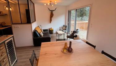 APPARTEMENT AUX PIEDS DES PISTES DE SKI - Foto 4