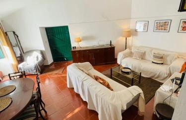 Santuário SOS Animal - Foto 58