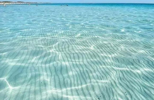 Masseria Belvedere - Photo 22