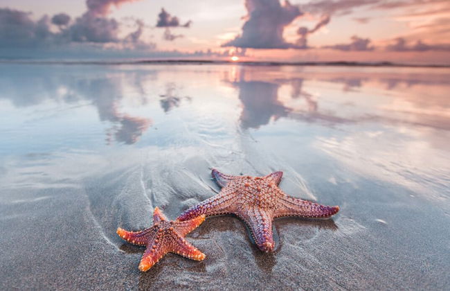 Nyaman Catamaran - Foto 37