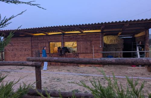 Anticopodere - Foto 3