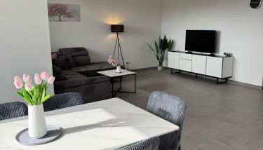 BILEANCA - Neubau-Ferienwohnungen Rheinhausen Europa-Park - Foto 2