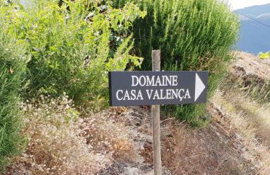 The Douro Nest - Foto 22