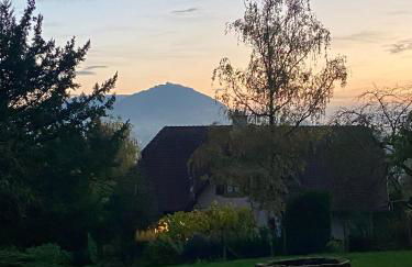 Superbe maison avec jardin - Foto 30