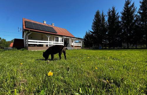 Siedlisko Stara Poczta Podlasie z jacuzzi, basenem i dużym ogrodem - Foto 40