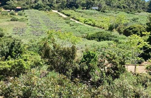 One Bedroom Apartment with Terrace - Foto 17