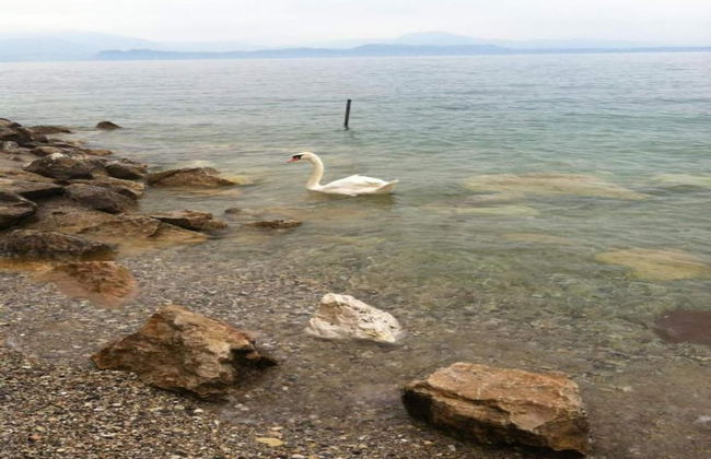 Seclusive Apartment in Sirmione near Lake - Foto 25