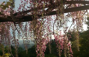 Casa Vacanze Le Violette - Foto 25