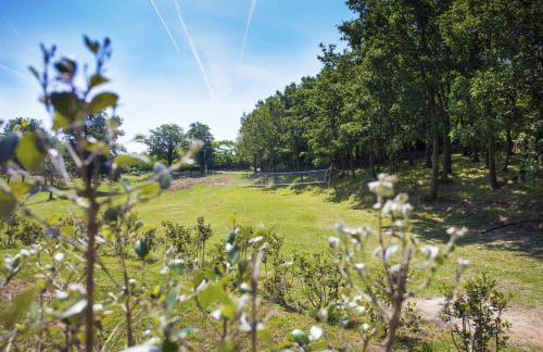 Apartments Matelici - Foto 32