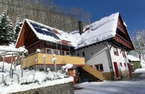 Ferienwohnung Sonnenblick - Foto 19