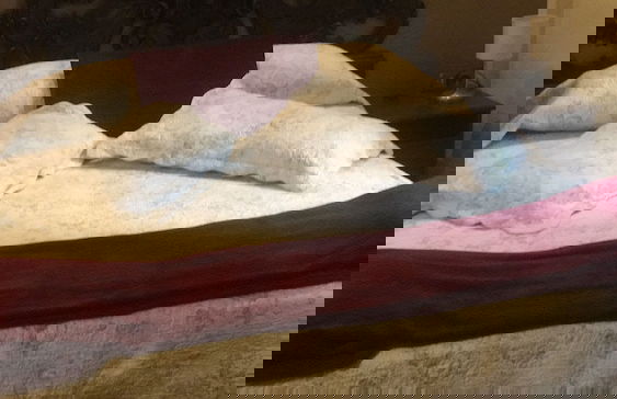 Lucca in Villa San Donato - Foto 22