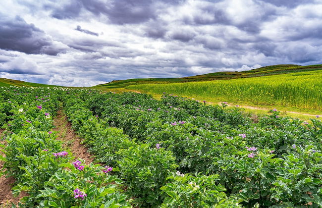 SKY DOME PERU - Foto 20