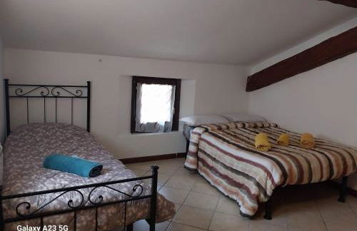 La corte dei celti 9 - Foto 9