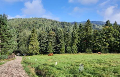 Dom Salamandra z panoramą gór - Foto 52