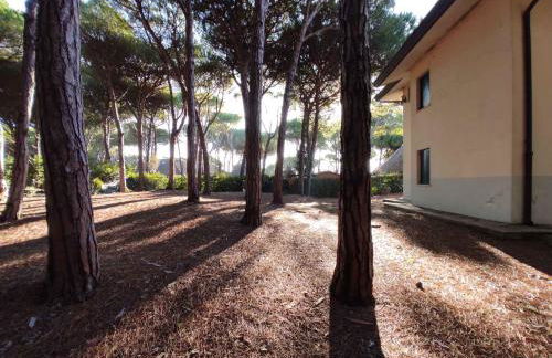 Holiday home in Eraclea Mare 43496 - Foto 9