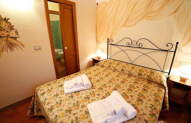 Gatto Bianco Tizzauli - Foto 13