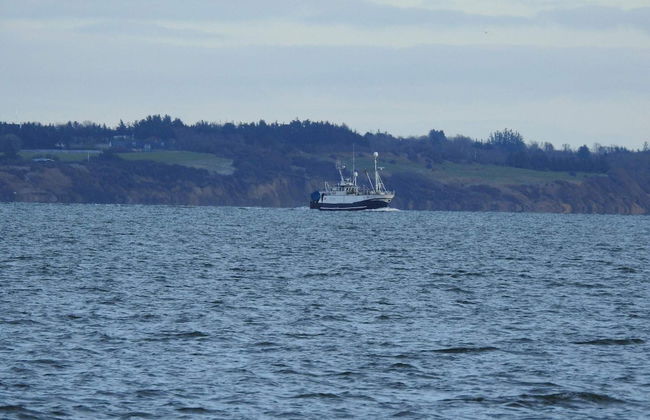 5 Person Holiday Home in Thyholm - Photo 67