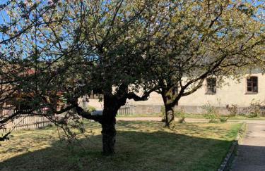 Ferienhaus im Villengarten - Foto 12