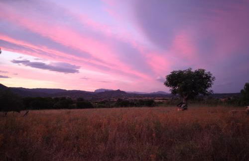 Pinnettu sardo tipica abitazione sarda in ecosistema insetti e animaletti simpatici in condivisione bagno esterno a 10metri Leggere attentamente Prima di prenotare - Foto 69