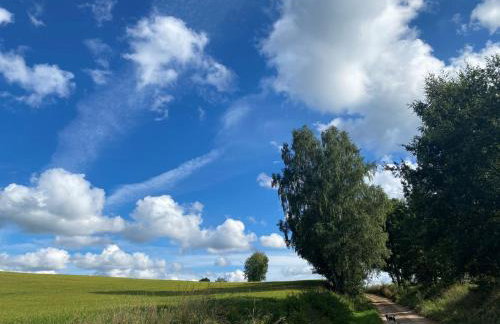 Ostoja Miłolas - Foto 43