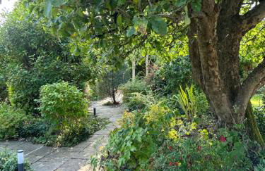 Apple-tree lodge - Foto 21