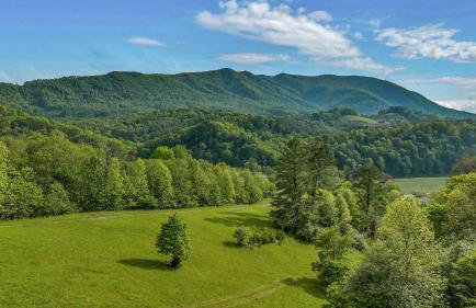 Mountain Top Cabin! Hot tub, Fireplace, Dog Friendly - Photo 6