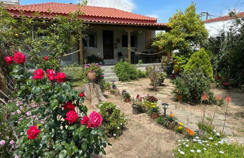 Λευκό γιασεμί - Νέες Παγασές Βόλος - Photo 1