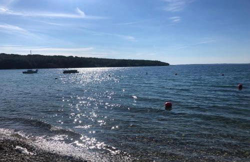 Lavender Lane - Foto 21