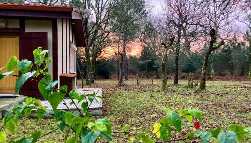 Maison en forêt, calme, proche village et piste cyclable - meublé 3 étoiles - Foto 2, Garden