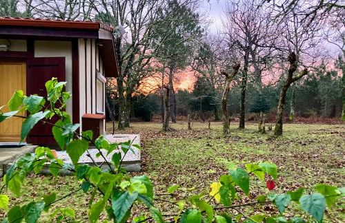 Maison en forêt, calme, proche village et piste cyclable - meublé 3 étoiles - Foto 2