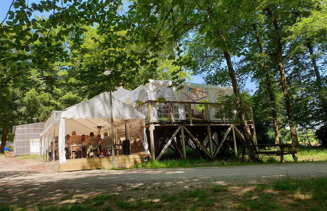 Etape en forêt - Foto 75