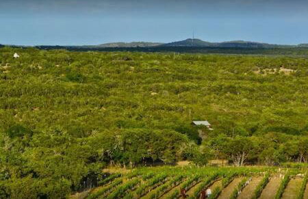 The Outlook - Spa and deck views of Hill Country - Foto 155