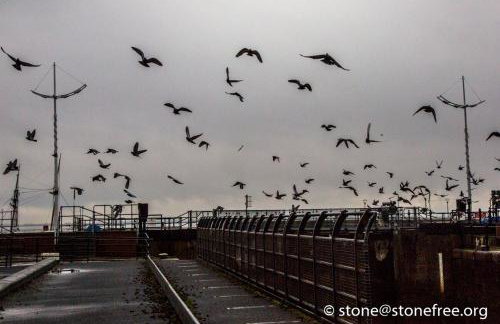 Boutique 1 Bdrm Duplex Suite on Marina 305 - Foto 21