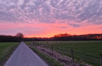 Ferienwohnung Geilert - Foto 16