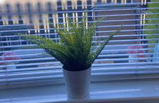 Sea View Terrace - Foto 8