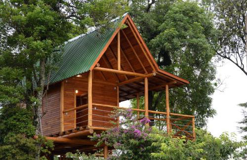 Casa na Árvore - Foto 1