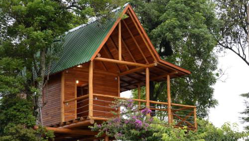 Casa na Árvore - Foto 1