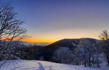 GITE DES 3 JONQUILLES - Foto 15