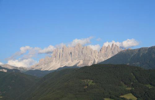 Obermoserhof - Foto 24