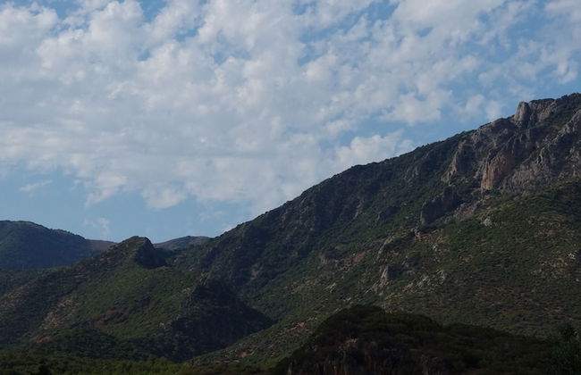 Agriturismo Sogno Latino - Photo 42