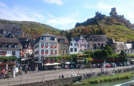 Ferienwohnungen Am Bruttiger Moselsteig - Foto 59