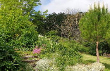 Maison de caractere en vallée du Lot - piscine privée -Le Colombier et la Bergerie - - Foto 34