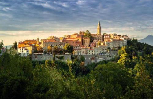 Mobile Home Katja - Photo 26