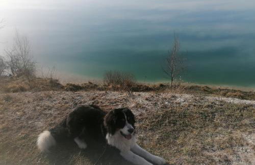 Rügen - Promoisel - Auszeit am Kreidesee - Foto 25