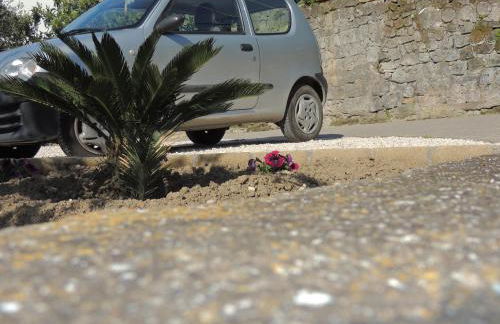 Johanna’s house - Foto 31