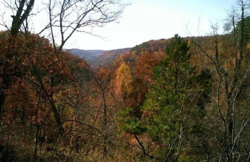 Baca Cabin Near Compton, Ponca, Buffalo River, Trails - Foto 9