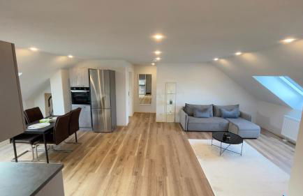 Casa Grande mit 3 Apartments - Foto 11