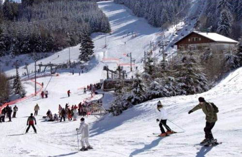 Charmant logis Gérardmer - Photo 38