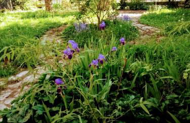 Maison Chopin - Foto 9